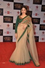 Divya Kumar at Big Star Awards red carpet in Andheri, Mumbai on 18th Dec 2013